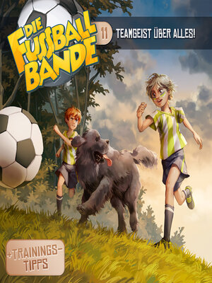 cover image of Die Fussballbande, Folge 11